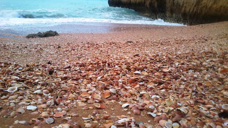 Foto de uma caminhada na praia